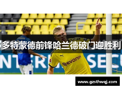 多特蒙德前锋哈兰德破门迎胜利